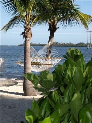 Banana Bay Resort (Adults Only) 키웨스트 외부 사진