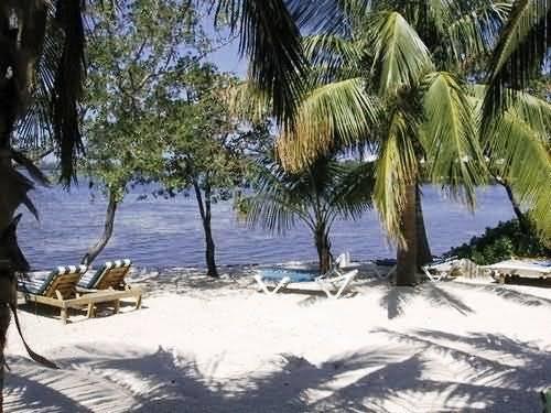 Banana Bay Resort (Adults Only) 키웨스트 외부 사진